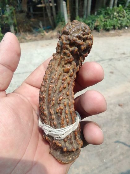 เครื่งรางของแปลก รูปที่ 3