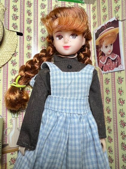 Anne of Green Gables – TAKARA Vintage Doll ปี 1993 รูปที่ 6