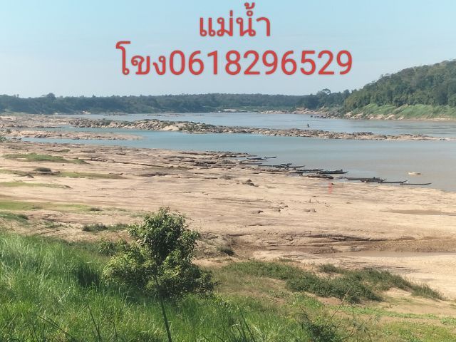 ใช่ ขายที่ทำเลทองติดแม่น้ำโขง อ.โพธิ์ไทร มีเอกสารสิทธิ์ถูกและสวยที่สุด ทำแค้มปิ้งหรือบ้านพักเหนริมโขงบรรยากาสดีๆและกรีดยางเดือนล40,000  รูปที่ 2