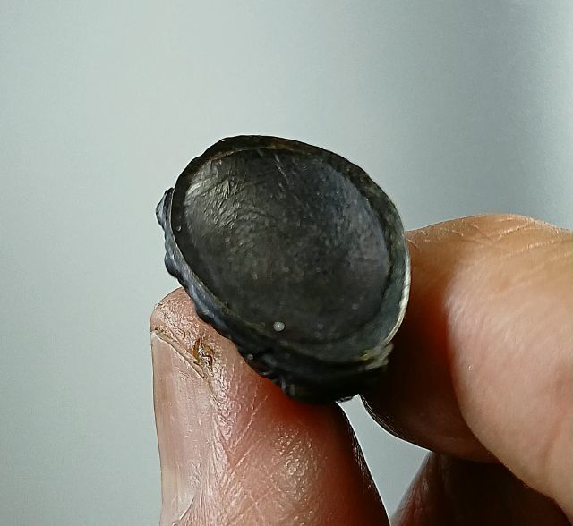 พระกริ่งกำแพงเพชรไพรีพินาศ ปี22 วัดบวร รูปที่ 3