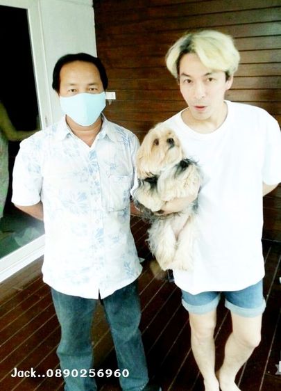 รับจับสุนัขผสมพันธุ์ทุกสายพันธุ์ ครั้งละ1000บ. รูปที่ 2