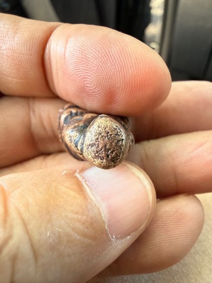 รูปหล่อ พ่อเงิน รูปที่ 5