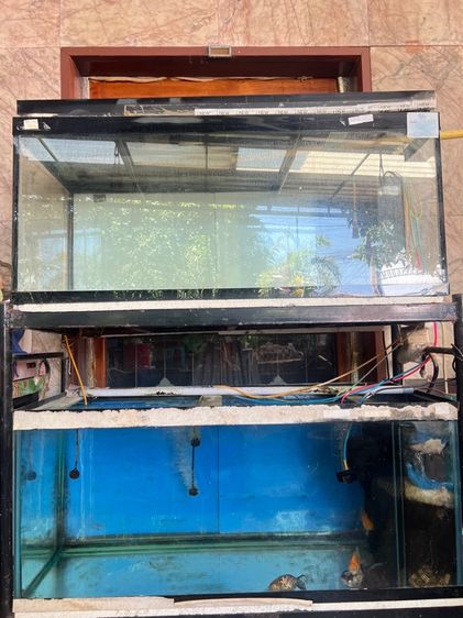 ตู้ปลาและเครื่องกรอง รูปที่ 2