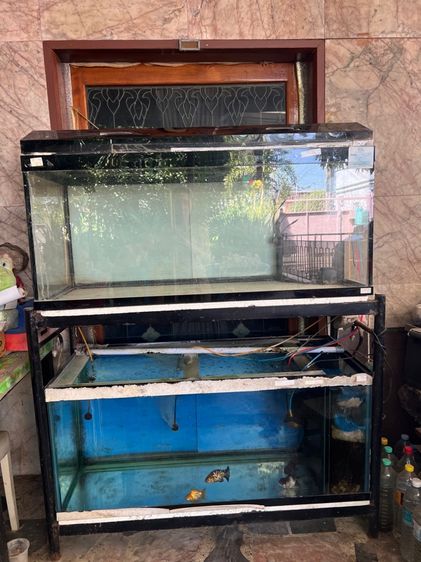 ตู้ปลาและเครื่องกรอง