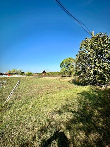 ไม่ใช่ ที่ดิน รูปที่ 4