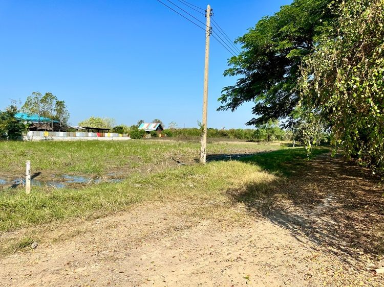 ไม่ใช่ ที่ดิน รูปที่ 2