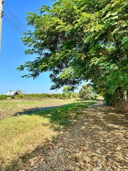 ไม่ใช่ ที่ดิน รูปที่ 3