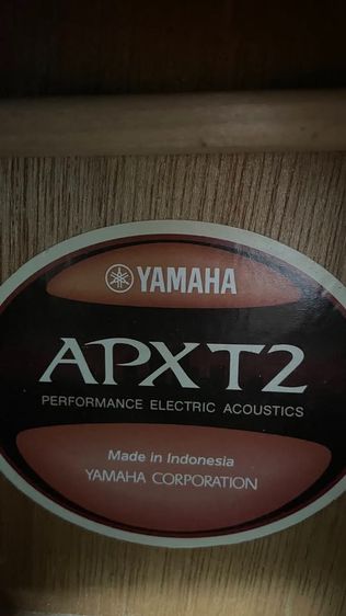 Yamaha Apx T2 รูปที่ 8