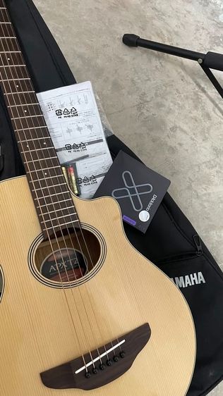 Yamaha Apx T2 รูปที่ 9
