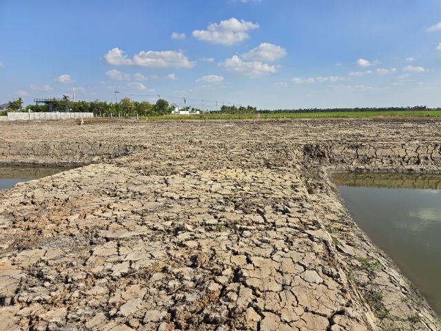 ขายที่ถมแล้ว มีสระน่ารักๆไว้รดน้ำต้นไม้ในสวน รูปที่ 3