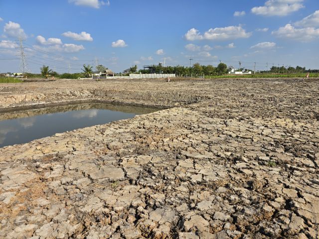 ขายที่ถมแล้ว มีสระน่ารักๆไว้รดน้ำต้นไม้ในสวน รูปที่ 4