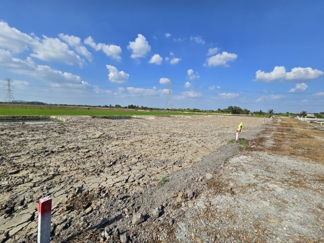 ขายที่ถมแล้ว มีสระน่ารักๆไว้รดน้ำต้นไม้ในสวน รูปที่ 2