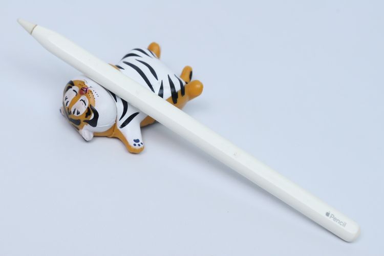 Apple Pencil รุ่น 2 - ID25120370 รูปที่ 2