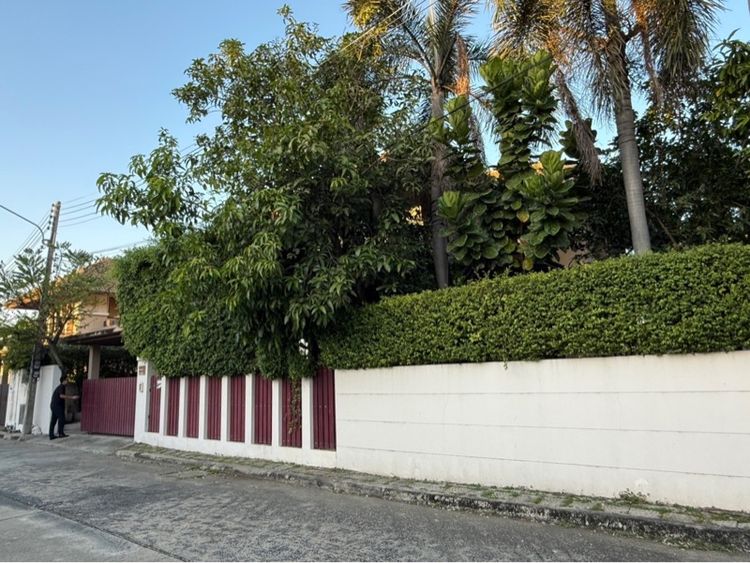 2010 ใช่ ขายบ้านเดี่ยว 2 ชั้น สไตล์รีสอร์ท รูปที่ 3