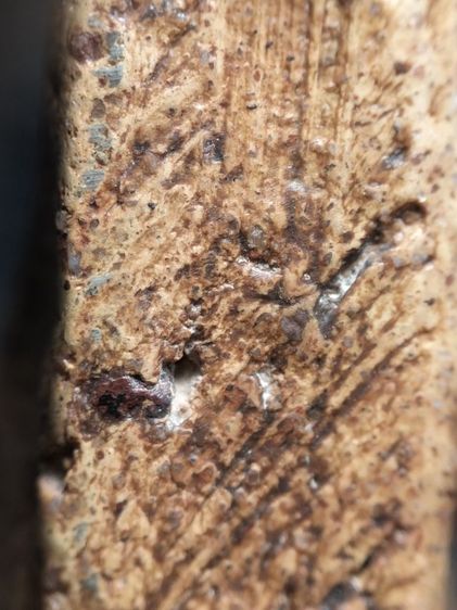 ❌ปิดครับ❌พระนางพญาพิษณุโลกครับ รูปที่ 15