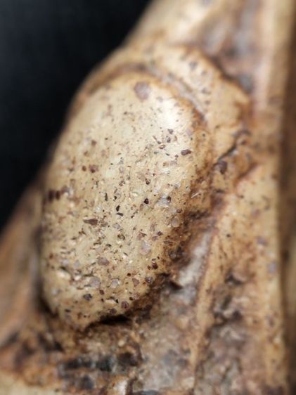 ❌ปิดครับ❌พระนางพญาพิษณุโลกครับ รูปที่ 11