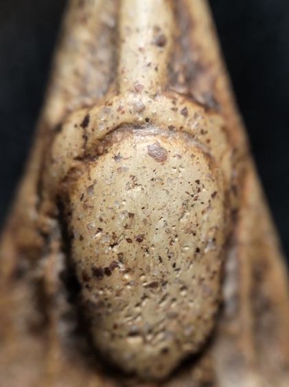 ❌ปิดครับ❌พระนางพญาพิษณุโลกครับ รูปที่ 5