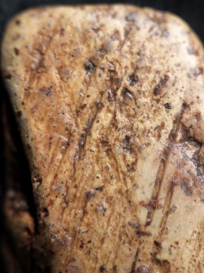 ❌ปิดครับ❌พระนางพญาพิษณุโลกครับ รูปที่ 14