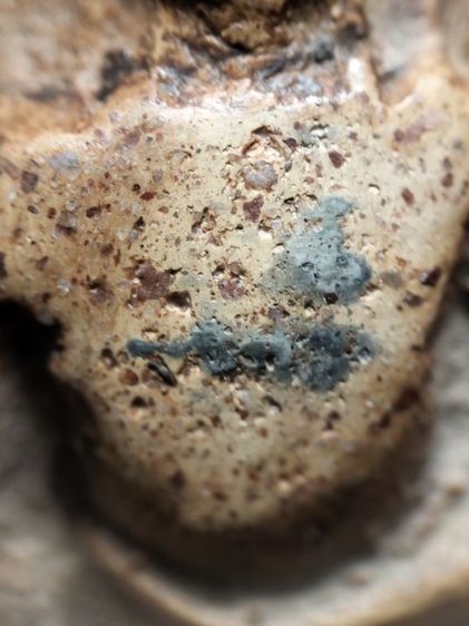 ❌ปิดครับ❌พระนางพญาพิษณุโลกครับ รูปที่ 6