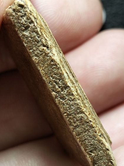 พระสมเด็จครับเนื้อจัดมาก รูปที่ 11