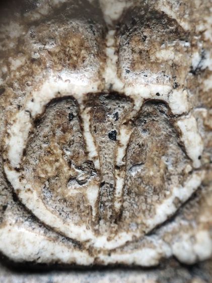 พระสมเด็จครับเนื้อจัดมาก รูปที่ 6