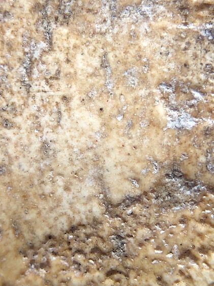 พระสมเด็จวัดระฆัง รูปที่ 9