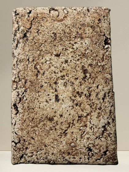 พระสมเด็จวัดระฆังพิมพ์ใหญ่ รูปที่ 10