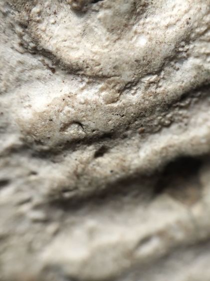 พระสมเด็จครับ รูปที่ 9