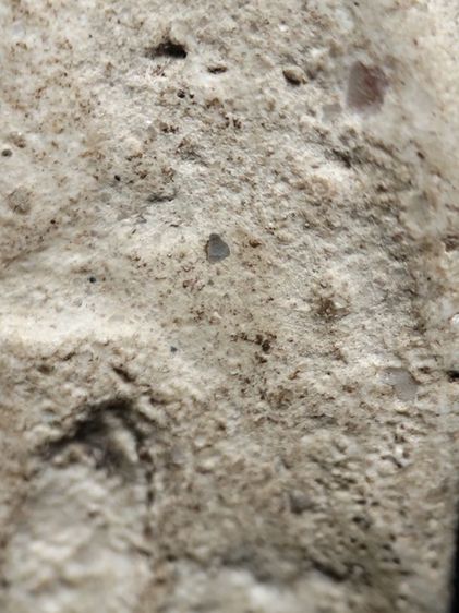 พระสมเด็จครับ รูปที่ 14