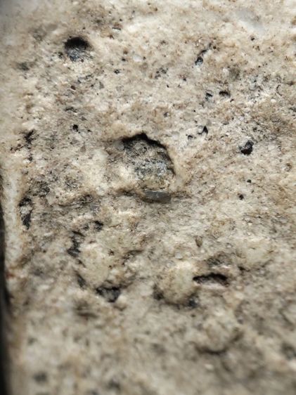 พระสมเด็จครับ รูปที่ 15