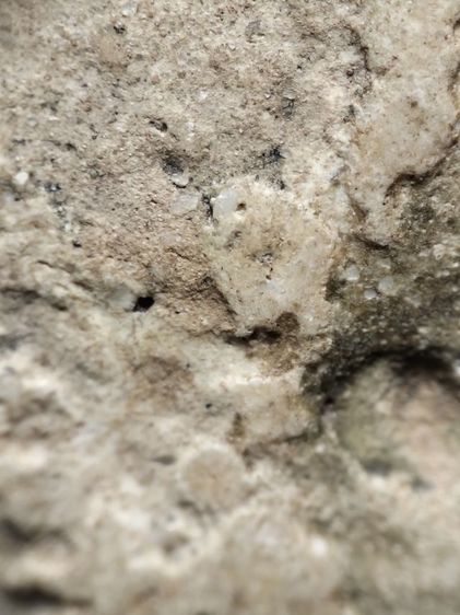 พระสมเด็จครับ รูปที่ 13