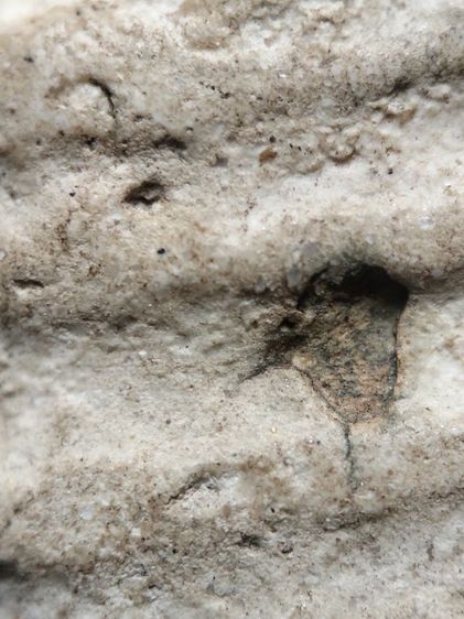 พระสมเด็จครับ รูปที่ 12