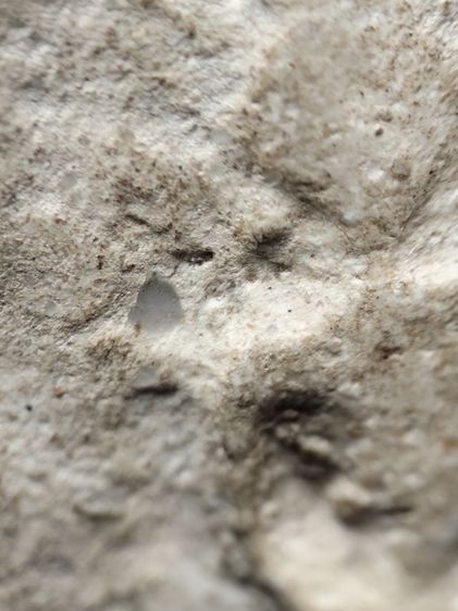 พระสมเด็จครับ รูปที่ 5