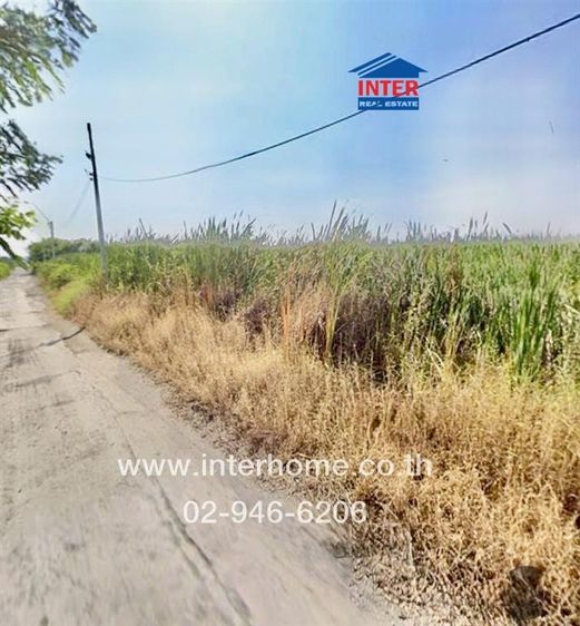 ที่ดินเปล่า 155 ตร.ว. ที่ดิน ใกล้วัดพทิพาวาส ถนนคุ้มเกล้า ถนนคุ้มเกล้า ถนนสุวินทวงศ์ แขวงคลองสามประเวศ เขตลาดกระบัง กรุงเทพมหานคร