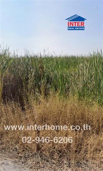 ที่ดินเปล่า 155 ตร.ว. ที่ดิน ใกล้วัดพทิพาวาส ถนนคุ้มเกล้า ถนนคุ้มเกล้า ถนนสุวินทวงศ์ แขวงคลองสามประเวศ เขตลาดกระบัง กรุงเทพมหานคร รูปที่ 2