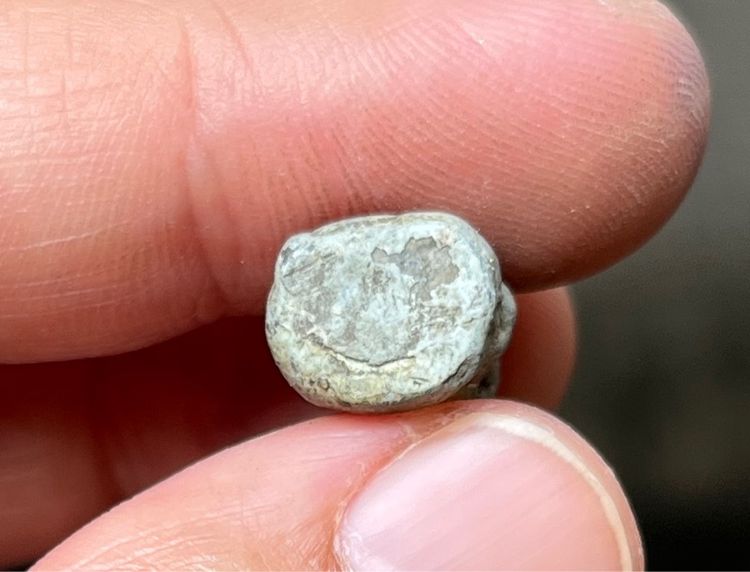 ปู่ฤาษี รูปที่ 4