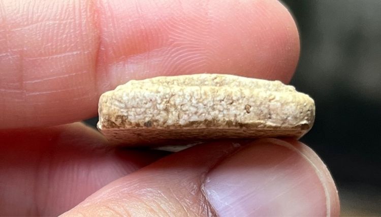 พระสมเด็จเกศไชโย รูปที่ 4