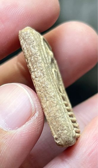 พระสมเด็จเกศไชโย รูปที่ 3