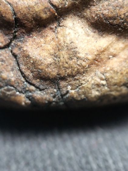 พระเนื้อผงเก่าจัดครับ รูปที่ 13