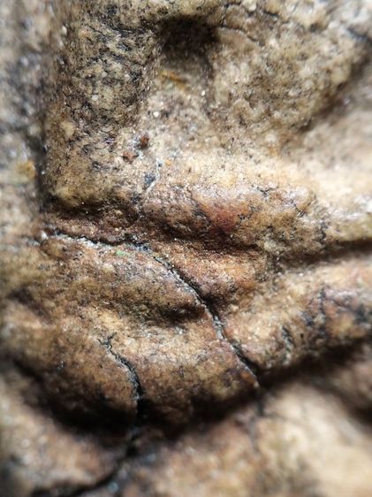 พระเนื้อผงเก่าจัดครับ รูปที่ 11