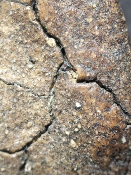 พระเนื้อผงเก่าจัดครับ รูปที่ 18