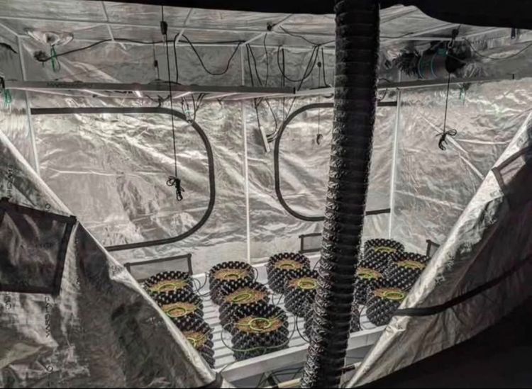 Used Indoor Grow Equipment – Full Set – Ready to Use รูปที่ 3
