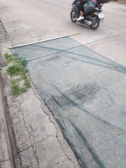 อวนลากปลา ใช้ในบ่อปลาคาร์ฟ รูปที่ 4