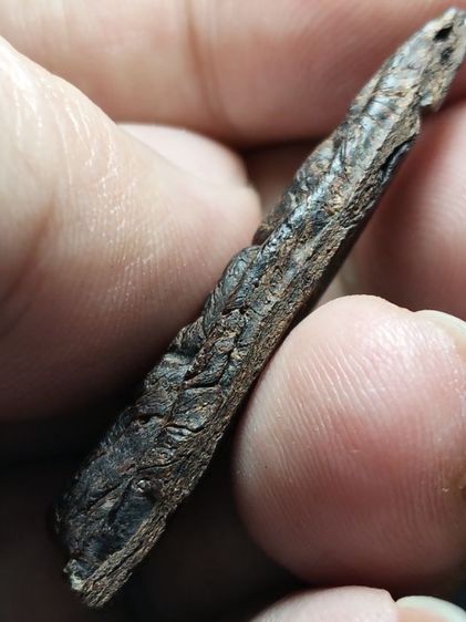 พระว่านจำปาสักครับ รูปที่ 16