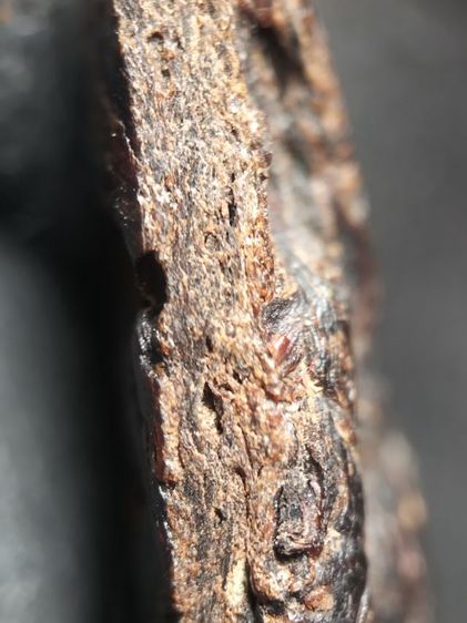 พระว่านจำปาสักครับ รูปที่ 11