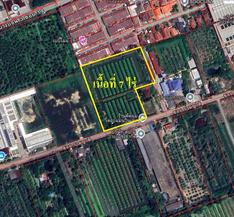 ขายที่ดินบางบอน3 เนื้อที่7ไร่ ใกล้โรงเรียนกรพิทักษ์ศึกษา รูปที่ 3