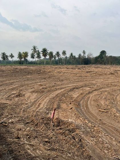 ใช่ ขายที่ดินแบ่งขาย ทำเลทอง ใกล้ขอบอ่างมาบประชัน – โฉนดพร้อมโอน เหมาะสร้างบ้าน  ทำโครงการจัดสรร  ลงทุนเก็งกำไร รูปที่ 4