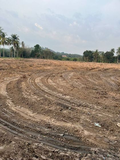 ใช่ ขายที่ดินแบ่งขาย ทำเลทอง ใกล้ขอบอ่างมาบประชัน – โฉนดพร้อมโอน เหมาะสร้างบ้าน  ทำโครงการจัดสรร  ลงทุนเก็งกำไร รูปที่ 3