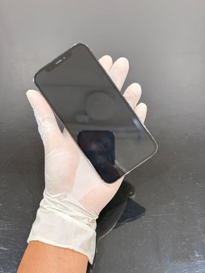 iPhone 12 Pro