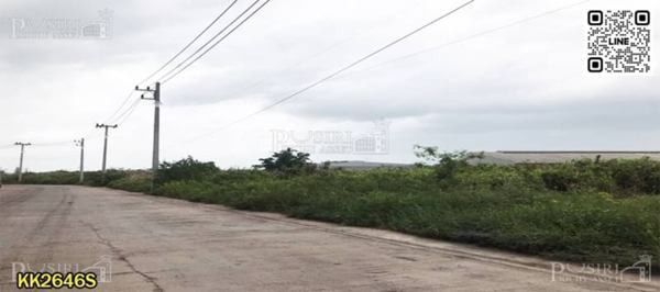 เธองามเหลือเกิน ที่ดินสร้างโรงงาน โกดังราคาถูก หน้ากว้างโดดเด่น เกือบ 5 ไร่ ถนนกว้าง  รูปที่ 3